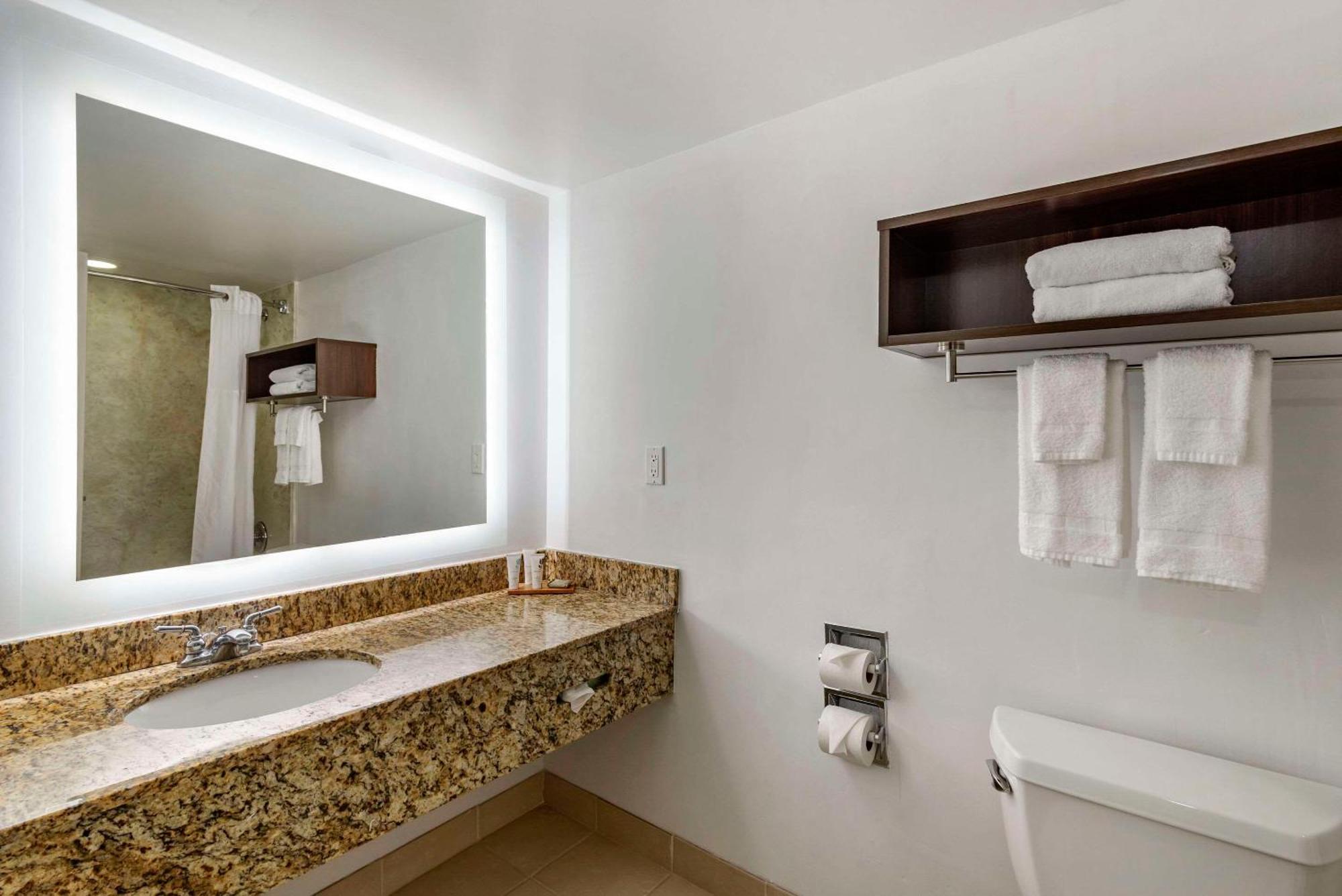 Country & By Radisson, Atlanta Galleria-ballpark, Ga
